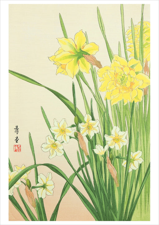 Nishimura Hodō: Narcissus Birthday Card_Front_Flat
