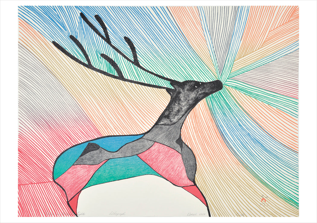 Pudlo Pudlat: Caribou in Northern Lights Birthday Card_Front_Flat