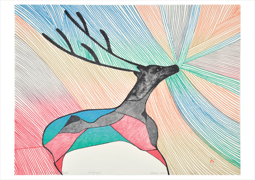 Pudlo Pudlat: Caribou in Northern Lights Birthday Card_Front_Flat