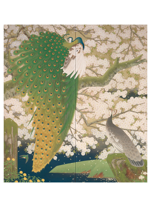 Imazu Tatsuyuki: Peacocks and Cherry Blossoms Birthday Card_Front_Flat