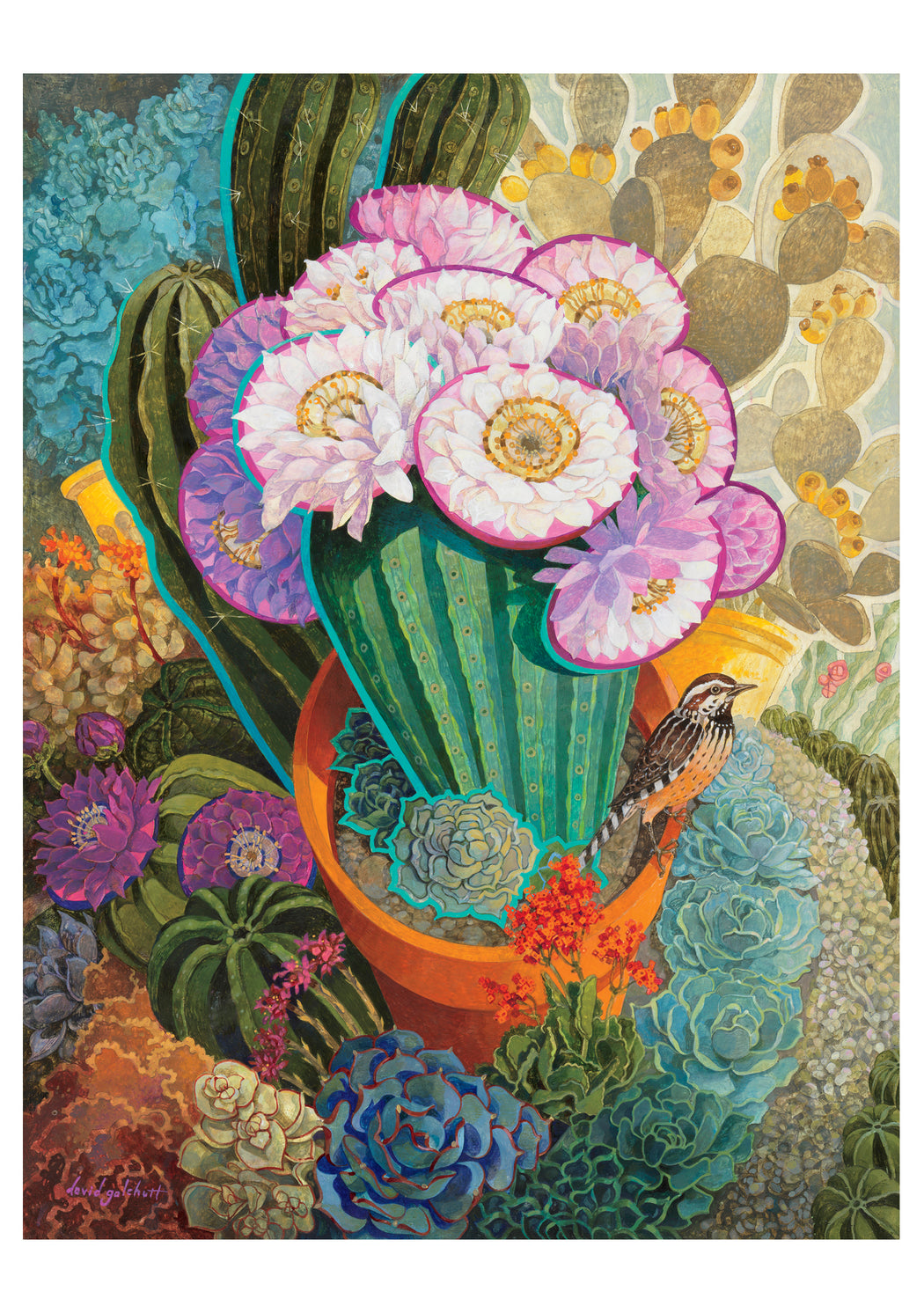 David Galchutt: The Prickly Garden Birthday Card_Front_Flat