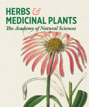 Herbs and Medicinal Plants Knowledge Cards_Zoom