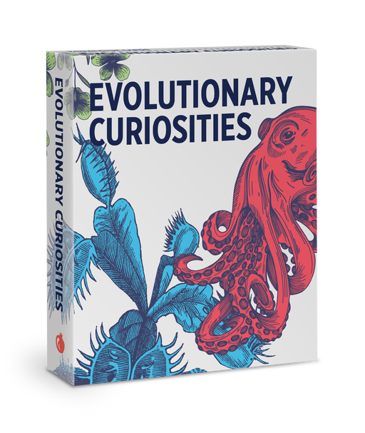 Evolutionary Curiosities Knowledge Cards_Primary