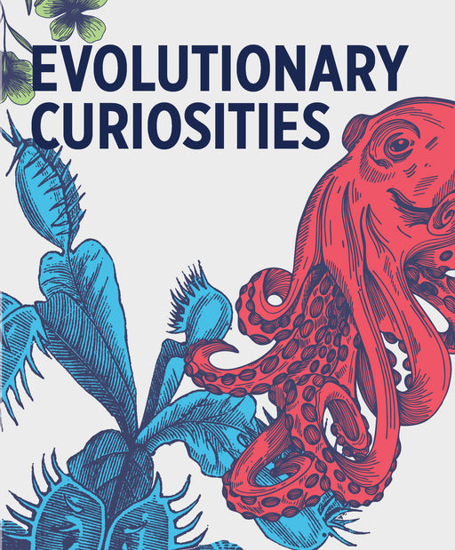 Evolutionary Curiosities Knowledge Cards_Zoom