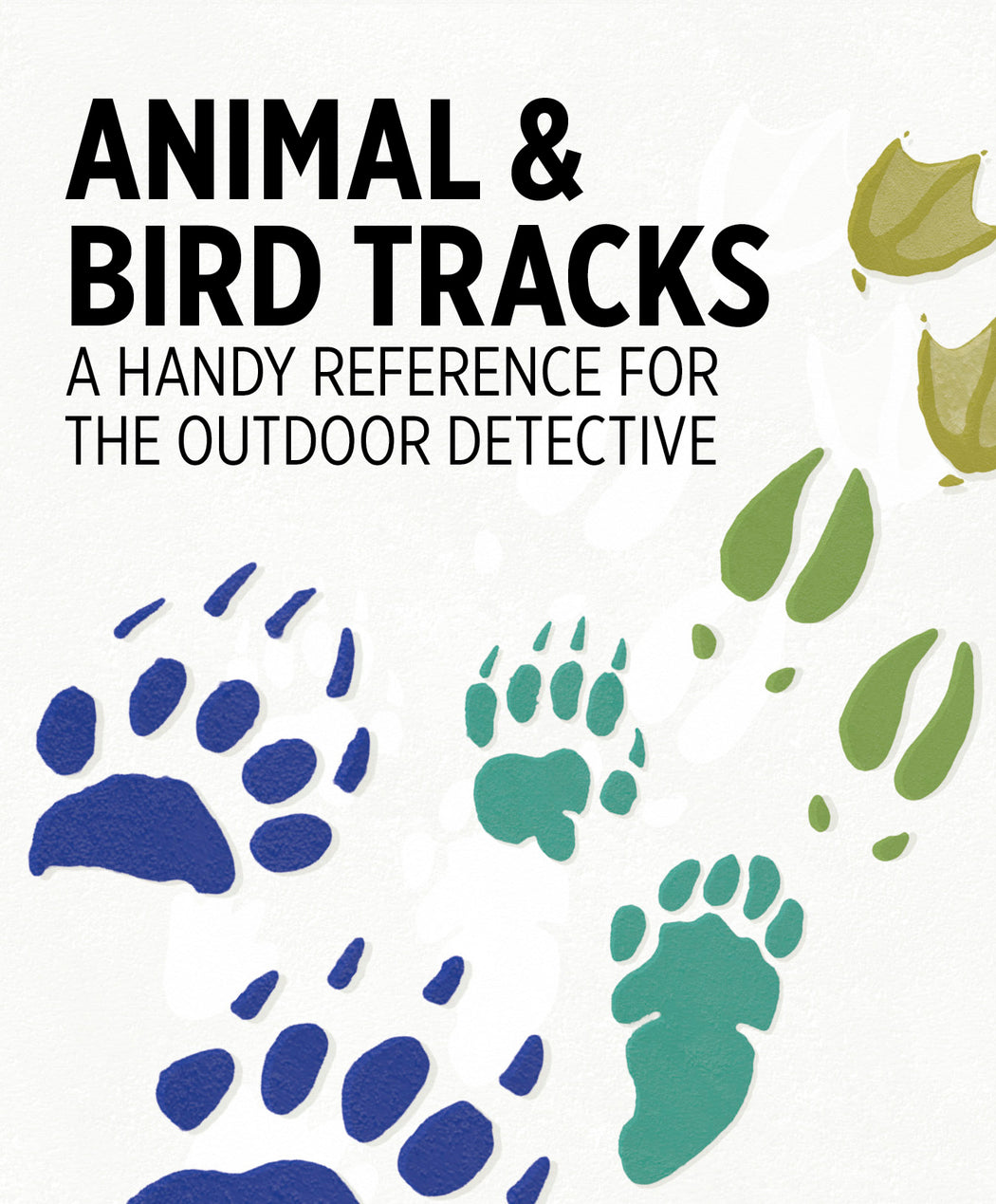 Animal & Bird Tracks: A Handy Reference for the Outdoor Detective Knowledge Cards_Zoom