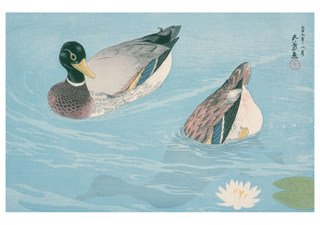 Hashiguchi Goyō: Ducks Notecard_Front_Flat
