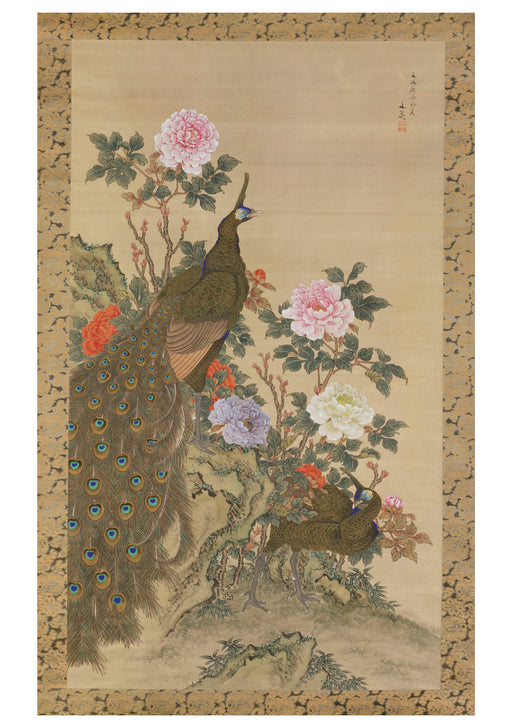 Tani Bunchō: Peacocks and Peonies Notecard_Front_Flat