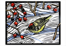 Molly Hashimoto: Winter Birds Holiday Card Assortment_Interior_3